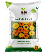 Grow Delight Imported Calendula Mix 100 Seeds Grow Delight Imported Calendula Mix 100 Seeds